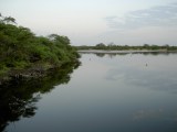 Lagune